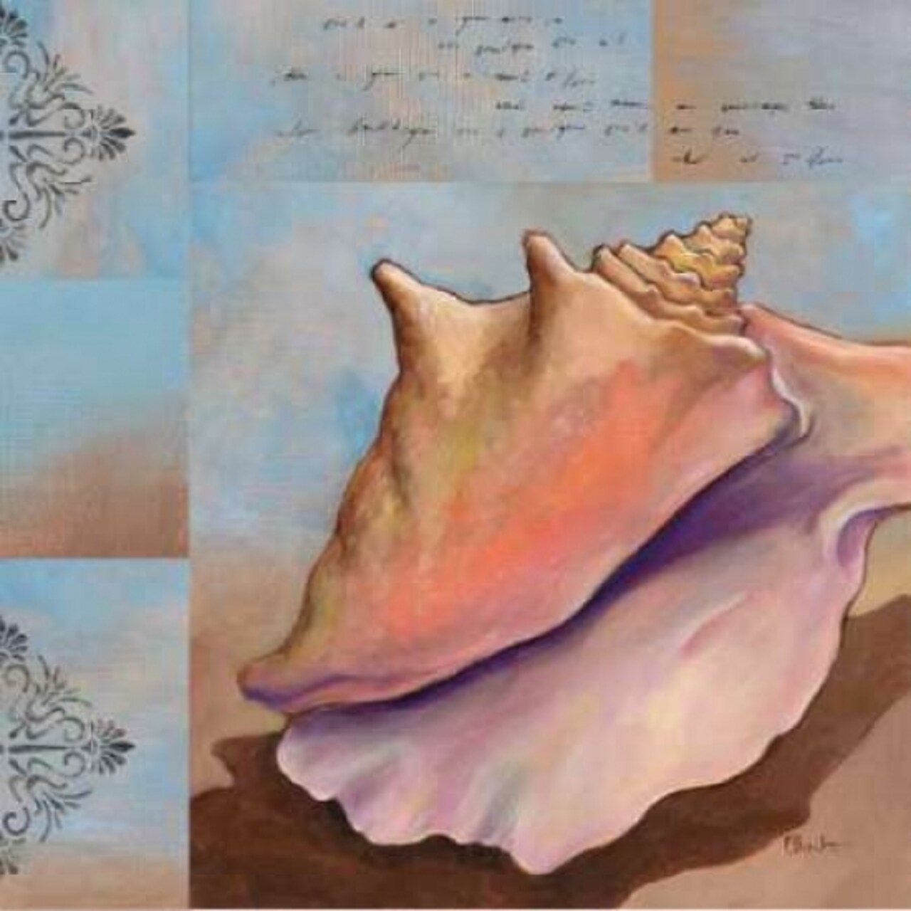 Sanibel Conch Poster Print by Paul Brent - Item # VARPDXBNT108